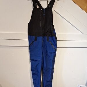 Dakine Black and Blue Bib Overalls